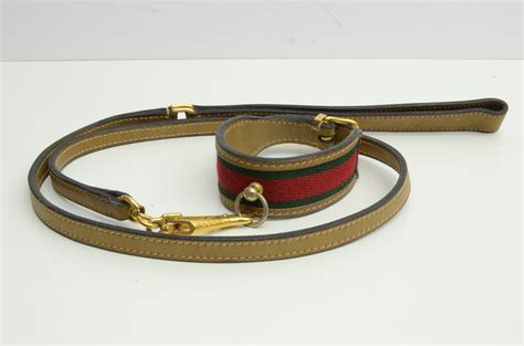 guinzaglio gucci cane